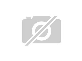 Hochwertige DiamantenEntgegen vieler Spoetter